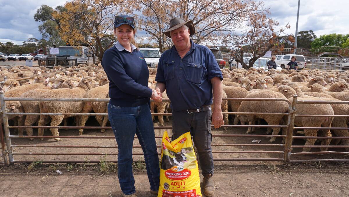 Lucy Patton, Ag n Vet West Wyalong, congratuates Graham Tulloch, West Wyalong, on winning the best presented pen of ewes award during the West Wyalong Sheep Breeders Sale. The ewes sold for $390 a head.