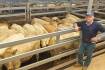 NSW steers plummet 80c/kg | Market Murmurs