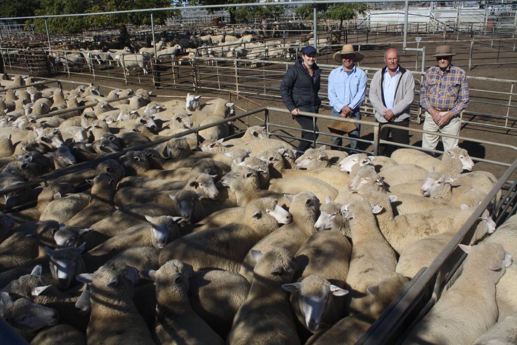 Shanks family, Dubbo, sold 215 lambs for $251.60 a head at Dubbo on Monday. Kate Shanks is pictured with agent Tim Wiggins; Robert and Jack Shanks. Photo by R Sharpe