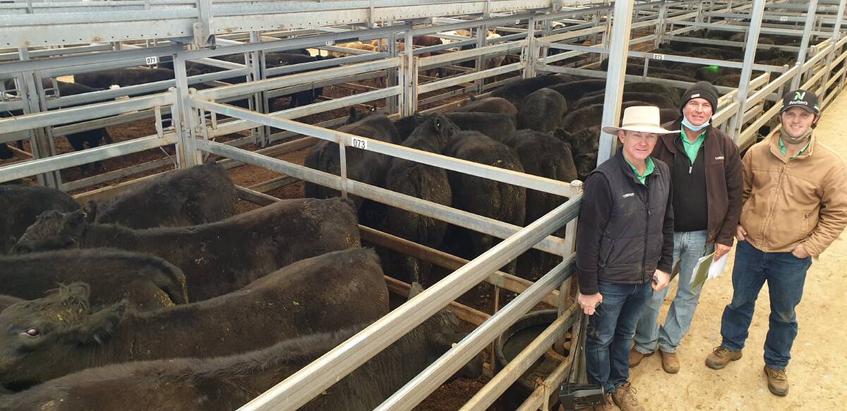 Scott Simshauser, Simon Rafferty, Nutrien, and Simon Newton, Nutrien Livestock, with milk- and two-tooth steers, 603kg, which hit 501c/kg ($3023) for Montague Station near Narrabri during Tamworth's sale on Monday. Photo: TLSAA