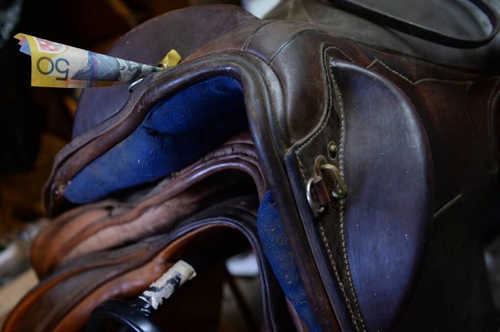 Glen Innes Pony Club saddles up with a $5000 grant