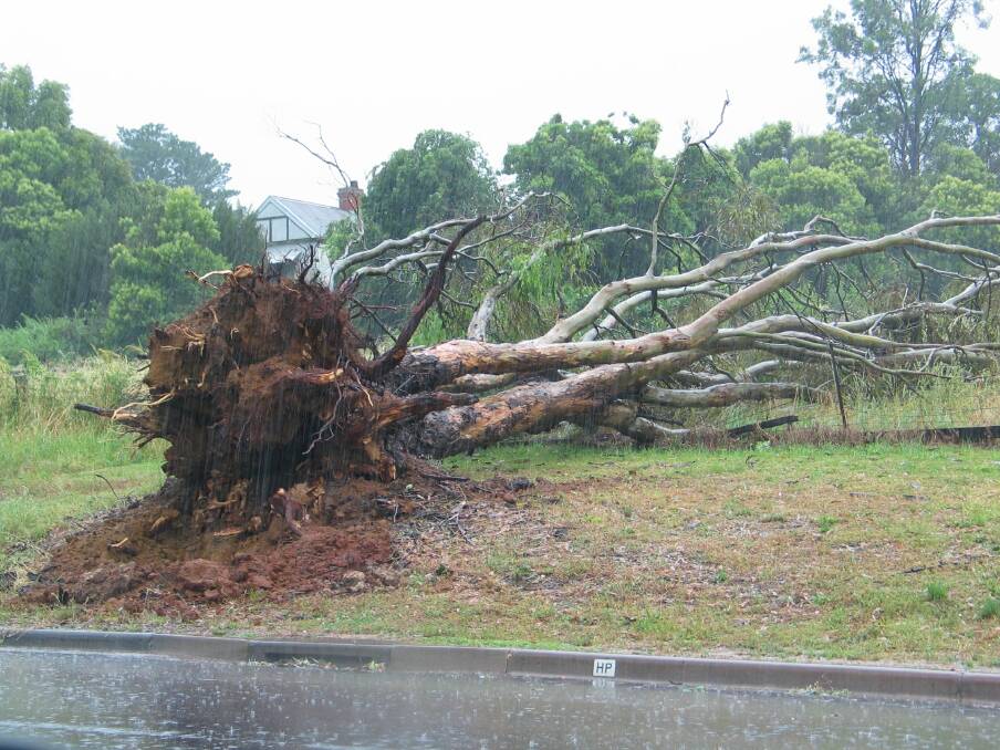 Damaging winds have been spreading across parts of all southern states during the past several days, including some areas in NSW.