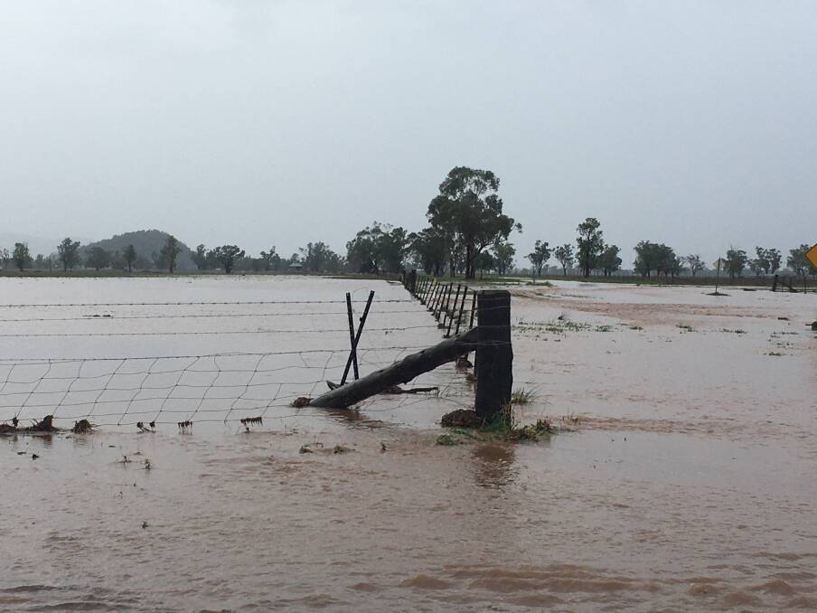 Isolated falls of up to 300 millimetres have been recorded in NSW to date, with more forecast for the current week.