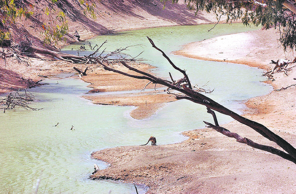 Weather In Focus | Hot, dry year for Murray Darling Basin