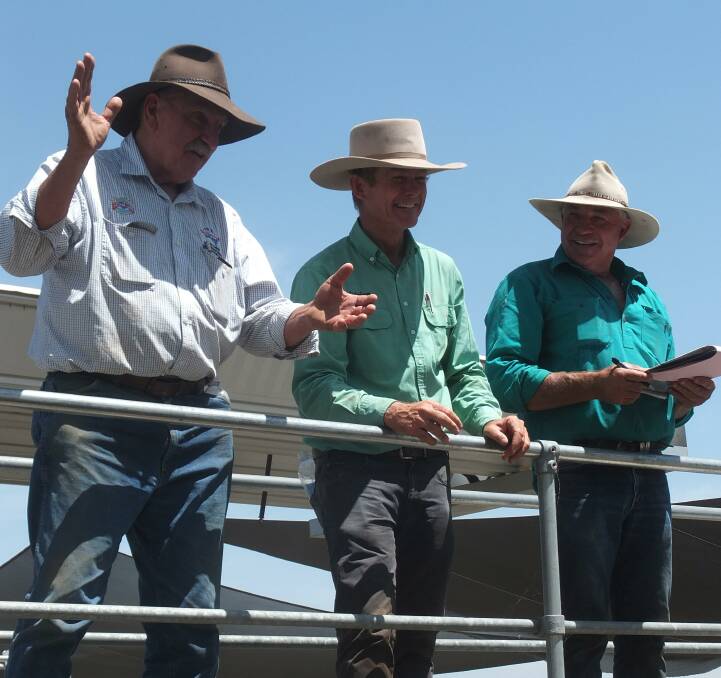 Brian Wellings took to the catwalk at Tamworth saleyards and sold a pen of sheep on behalf of Nutrien Livestock before his retirement from buying livestock on Monday. Agents Scott Simshauser and Miles Archdale from Walcha offered some encouragement on the catwalk. Photo: Michelle Mawhinney