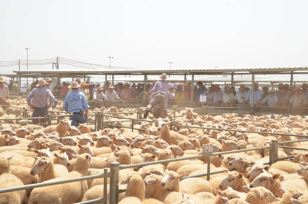 Buyers shelter under limited shade during a past prime lamb sale. The new shade sails will mean both livestock and people will be much more confortable during summer.