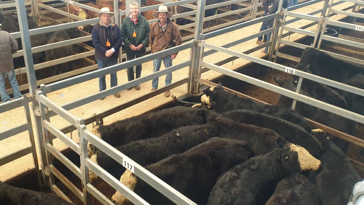 Agent Chris Paterson with vendors Jillian and Trevor Foley, Dallyn, Armidale, who sold their top pen of steers for 426 cents a kilogram ($1603 a head) and their top heifers for 436c/kg ($1347/hd) during the Tamworth prime sale on Monday. Photo: Michelle Mawhinney
