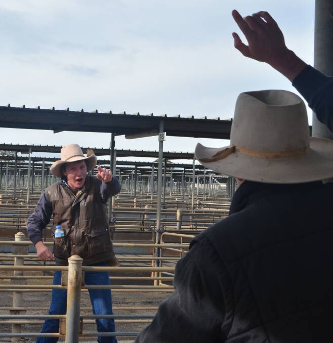 Jack Pippin, Spencer and Bennett, Griffith, take bids during the ALPA auctioneers school in Wagga Wagga last week.