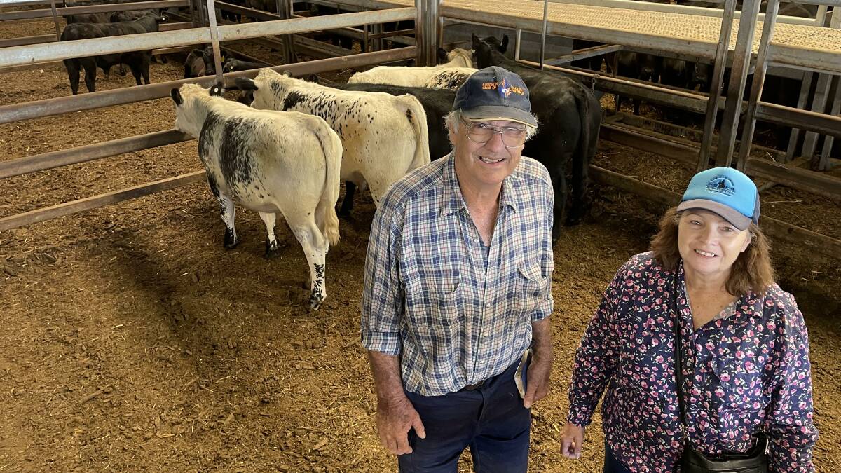 Russell and Anita Clapham, Grenfell, bought several pens of young cattle, including 276 kilogram Speckle Park steers for $1260 a head, at Carcoars store cattle sale last Friday. Picture by Karen Bailey. 