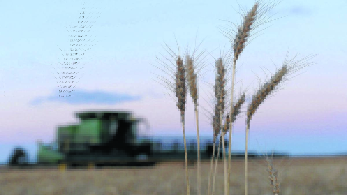 Smart Marketing | Wheat futures find support