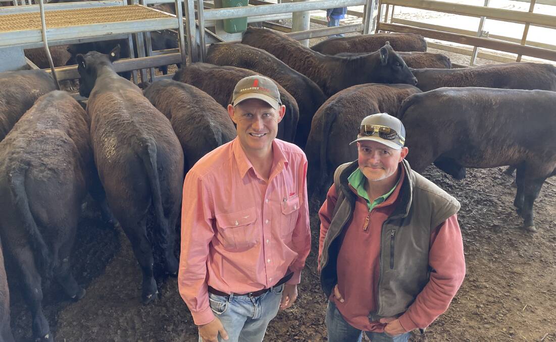 Andrew Bickford, Elders Bathurst, with his client Daniel Finn, South Wonalabee, Gormans Hills, who bought 13 February/March-drop Angus steers, 361kg, for $1930 a head at Carcoar store cattle sale last Friday.