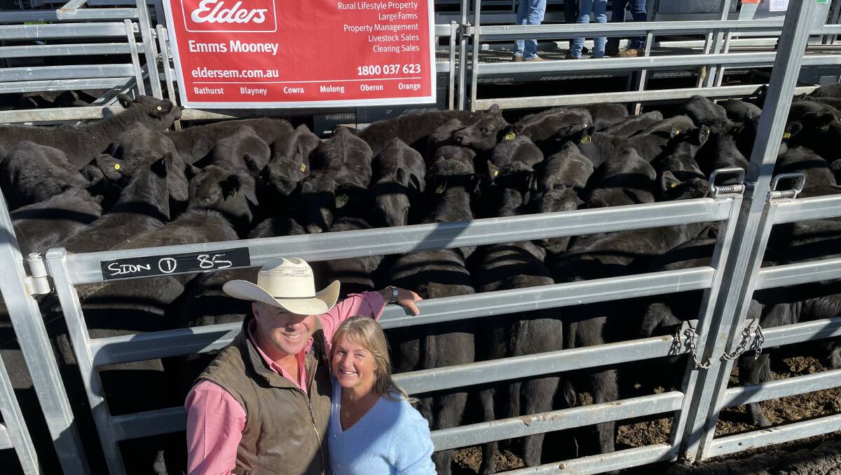 Ben and Mandy Emms, Sion Hill, Lyndhurst, with 85 July/August-drop Angus steers, 366kg, that sold for $1640 at Carcoar Blue Ribbon Weaner Sale last Friday. Picture by Karen Bailey.