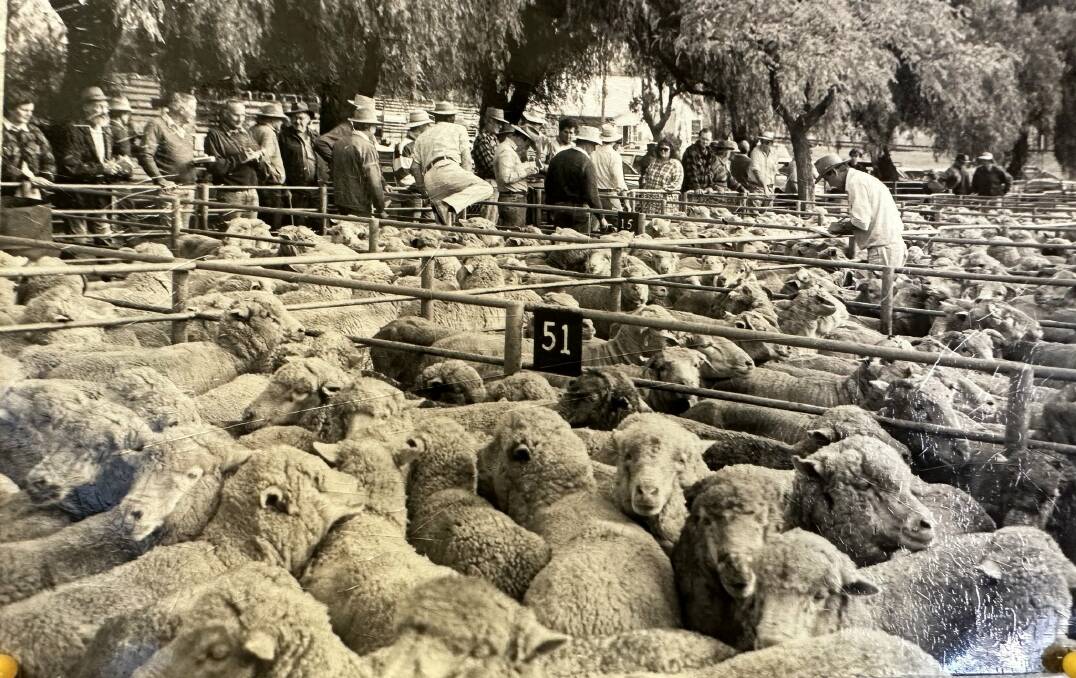 Historical picture taken at the Cootamundra saleyards. Picture supplied.
