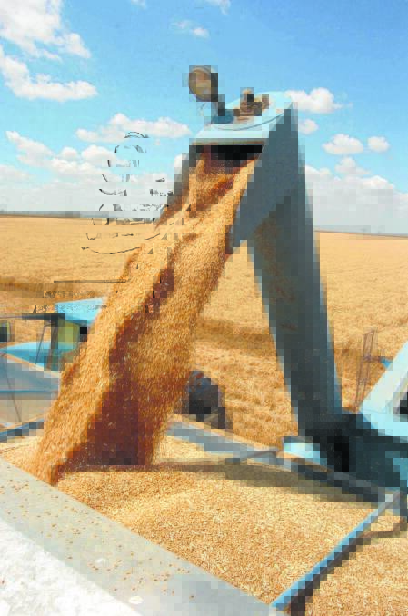 Smart Marketing | Global wheat production estimates lift