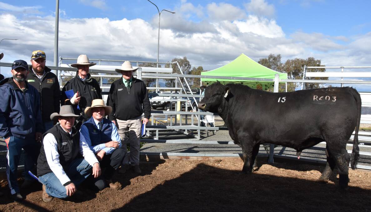 Buyer of the top-priced bull Anthony Stanco, Woorarra, Barraba, with farm manager Trent Tandall, Hazeldean's Jim Litchfield, Nutrien agents John Settree, and (kneeling) Tim Hollis and Hazeldean's Ed Bradley.
