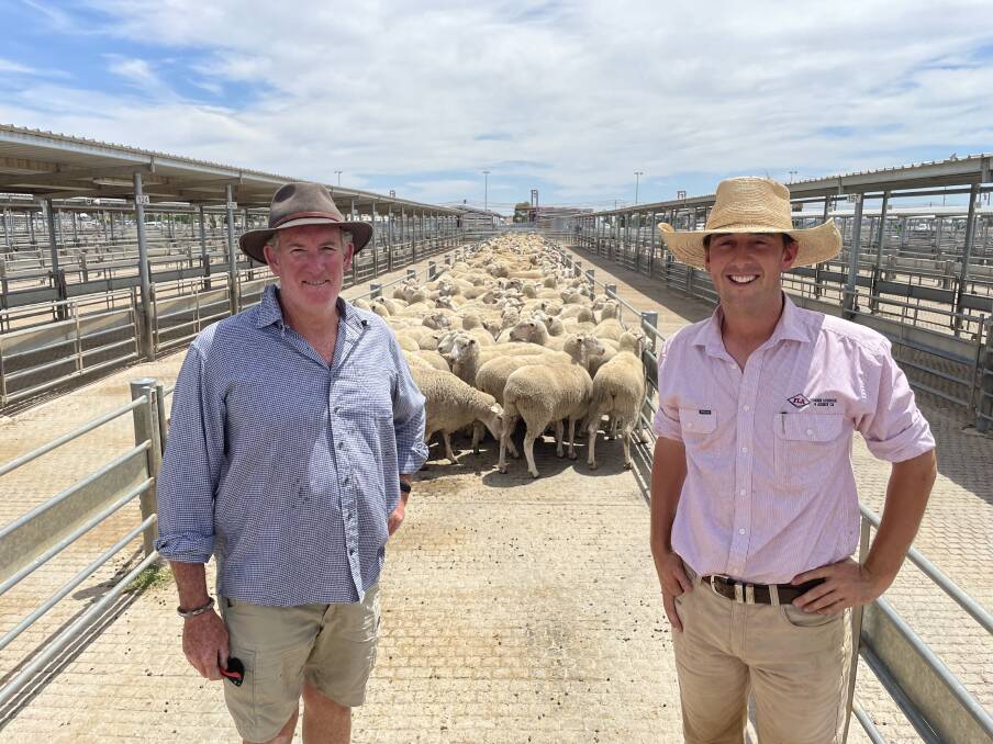 Neil McMillan, The Sweet Spot, Eugowra, with agent Sam Mackay, Forbes Livestock, sold 102 scanned-in-lamb first-cross ewes for $372 at Forbes. Photo: Karen Bailey