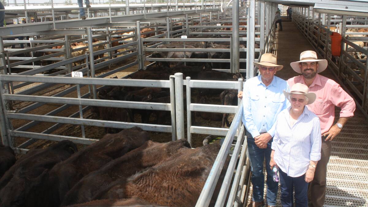 Robert and Doreen Smith, Marrannoonbah Pty Ltd, Condobolin, and selling agent Martin Simmons, Elders Dubbo with a line of 21 Angus cows with their first calves at Friday's Dubbo store cattle sale. The cows and two- to four-month-old calves made $1520/unit. The Smith's also offloaded some Santa Gertrudis cows with two to four-month-old calves by Brangus bulls for $800 and Angus/Santa cows with calves of the same description for $850/unit. Photo by Rebecca Sharpe.