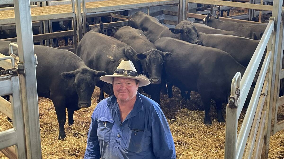 Pete Sturgiss, Kooradale, Koorawatha, bought cows with calves for an average of $2015 a unit during the Carcoar sale last Friday. Photo: Karen Bailey