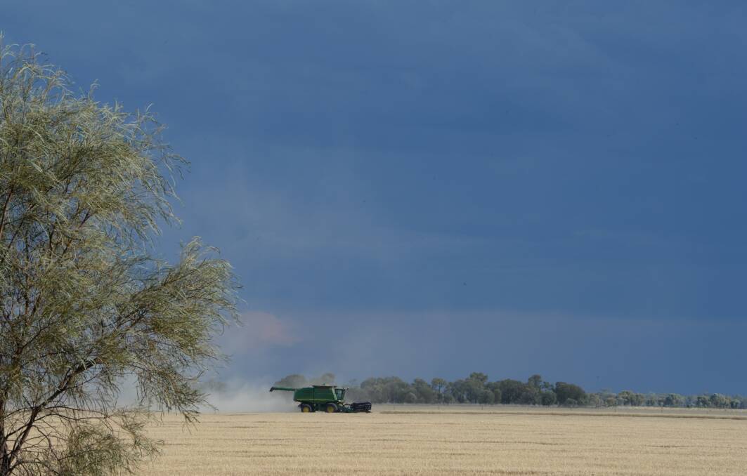 Storm clouds gather as farmers ramp up harvest before the next fall of rain. The Riverina harvest was disrupted on Tuesday waiting for paddocks to dry out, said Lockhart transport operator Rodger Schirmer.