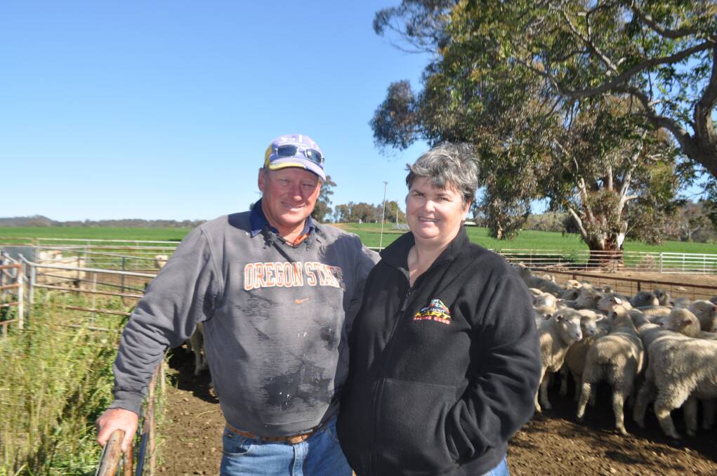 Mark and Leanne Thomas, The Rock, are happy to be selling their March-drop lambs this week.