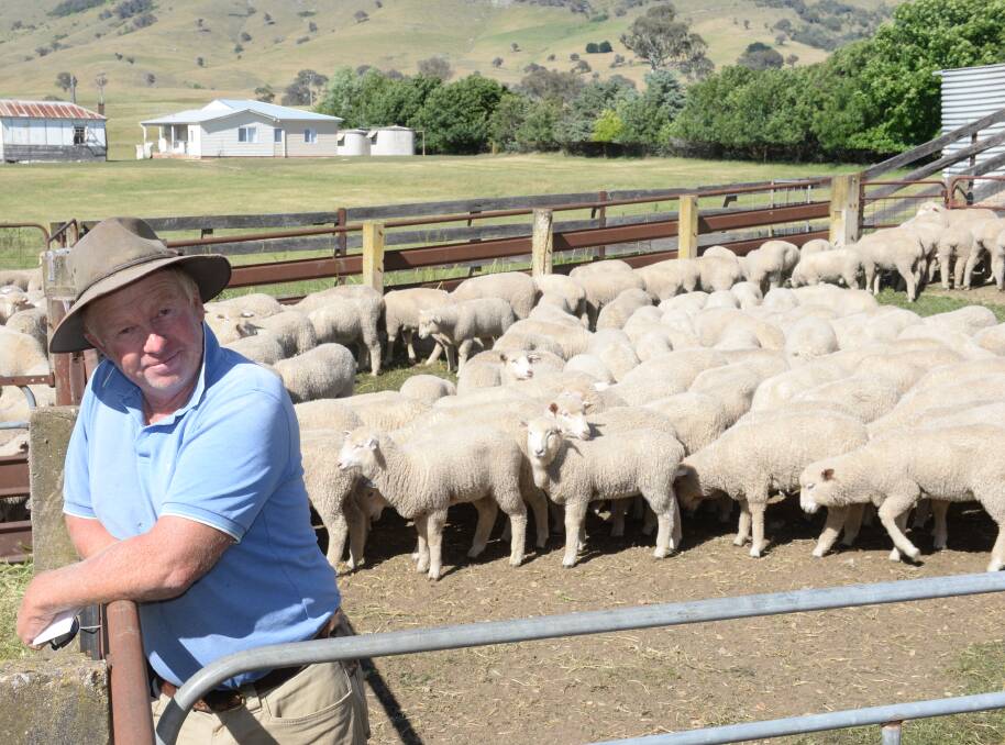 Steve Faulder, "The Ranch", Yass, sold 450 August-drop, Normanhurst-blood, Border Leicester/Merino lambs at the Yass circuit sheep sale on Tuesday. His ewe lambs sold for $124 and wether lambs for $92. Photo by Rachael Webb.