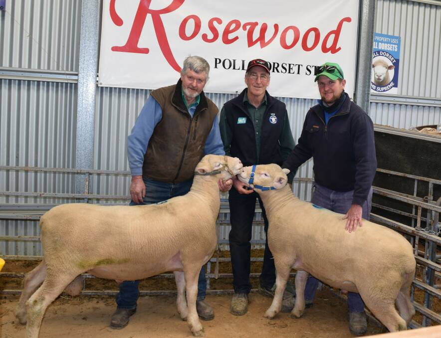 David Sainsbury from Rosewood flanked by Brian and Ben Anderson, Jessmondeen Pastoral Co, Narrawa, and the two $4200 top-priced rams. Photo: supplied