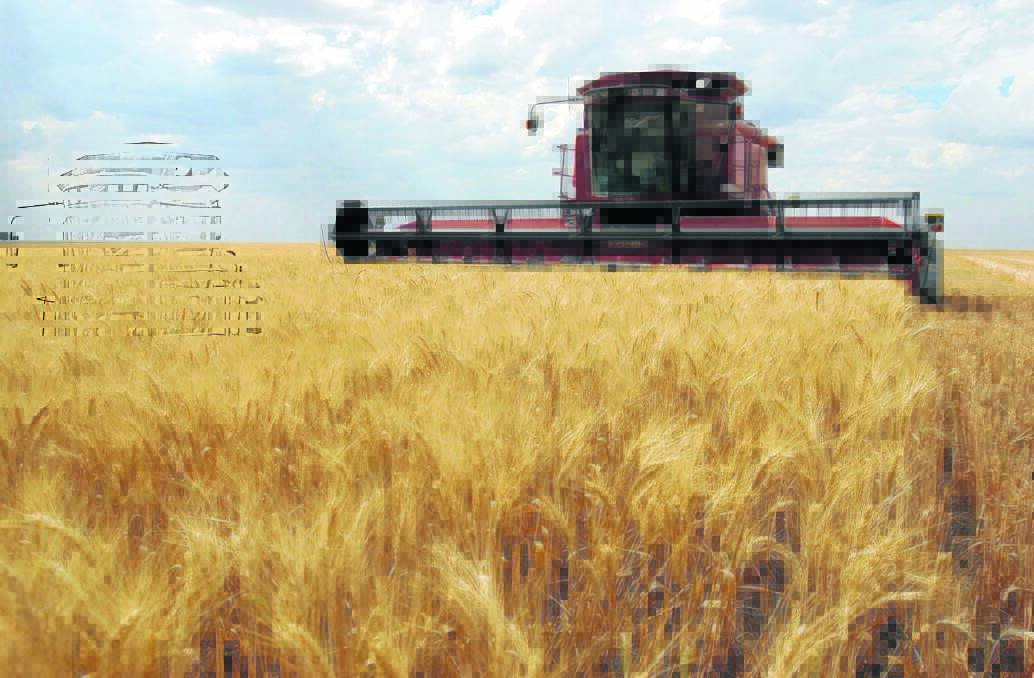 Bumper harvest causes labour shortage worry
