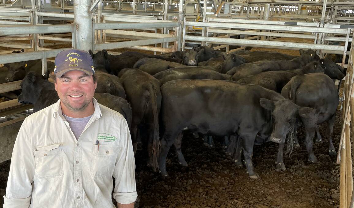 Scott Johnson, PR Masters Stephens, Bathurst, with PTIC Angus heifers sold by Ross and Tanya Wills, Mandurama, for $1000 to $1400 at Carcoar last Friday. Picture by Karen Bailey.