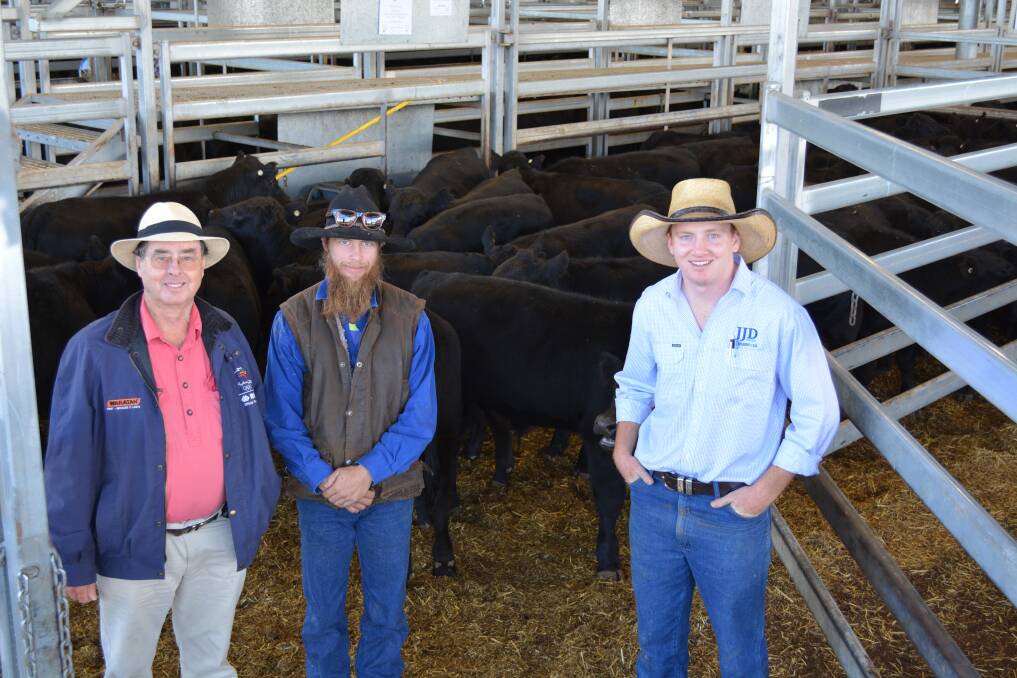 Malcolm McLaurin, Corrie Vale Pastoral Company, Woodstock, with his head stockman Jack Anderson and JJ Dresser and Company agent Darcy Howard, Woodstock, sold five- to six-month-old Angus weaner steers (285kg) for $1800 a head. 