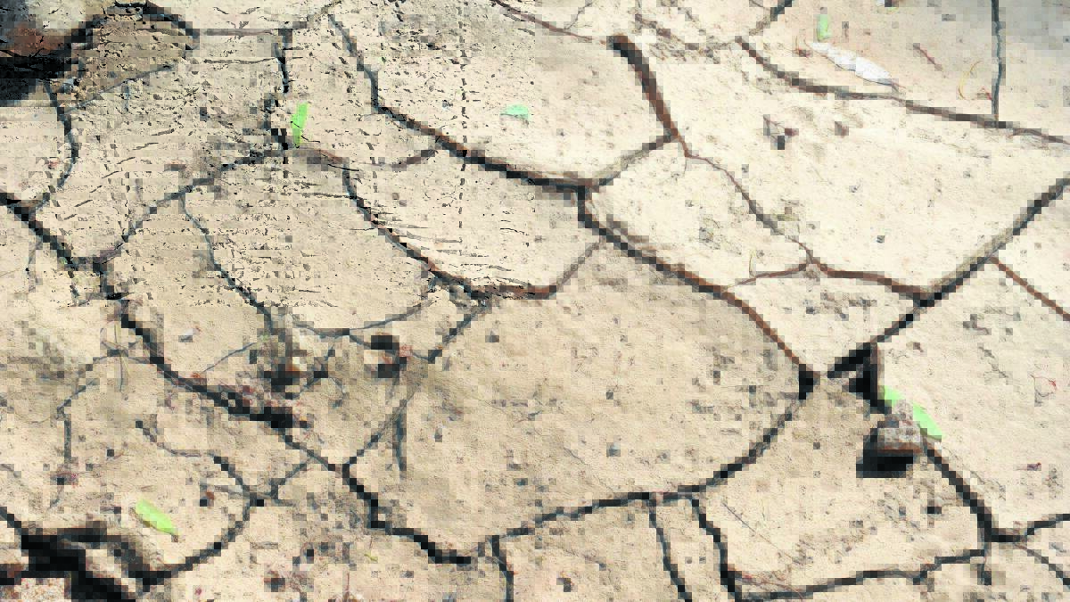 Weather In Focus | Soil moisture takes a big hit