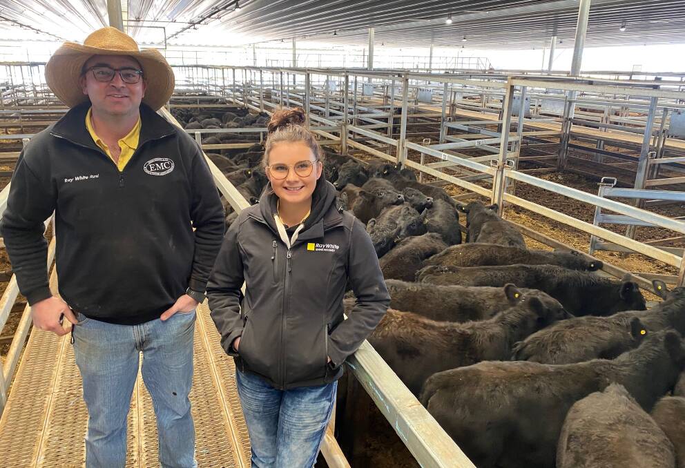 Ray White Emms Mooney agents Liam Murphy and Alicia Connor with the feeder steers that sold for 555.2c/kg at Carcoar prime sale on Tuesday. Photo: Brock Syphers, CTLX