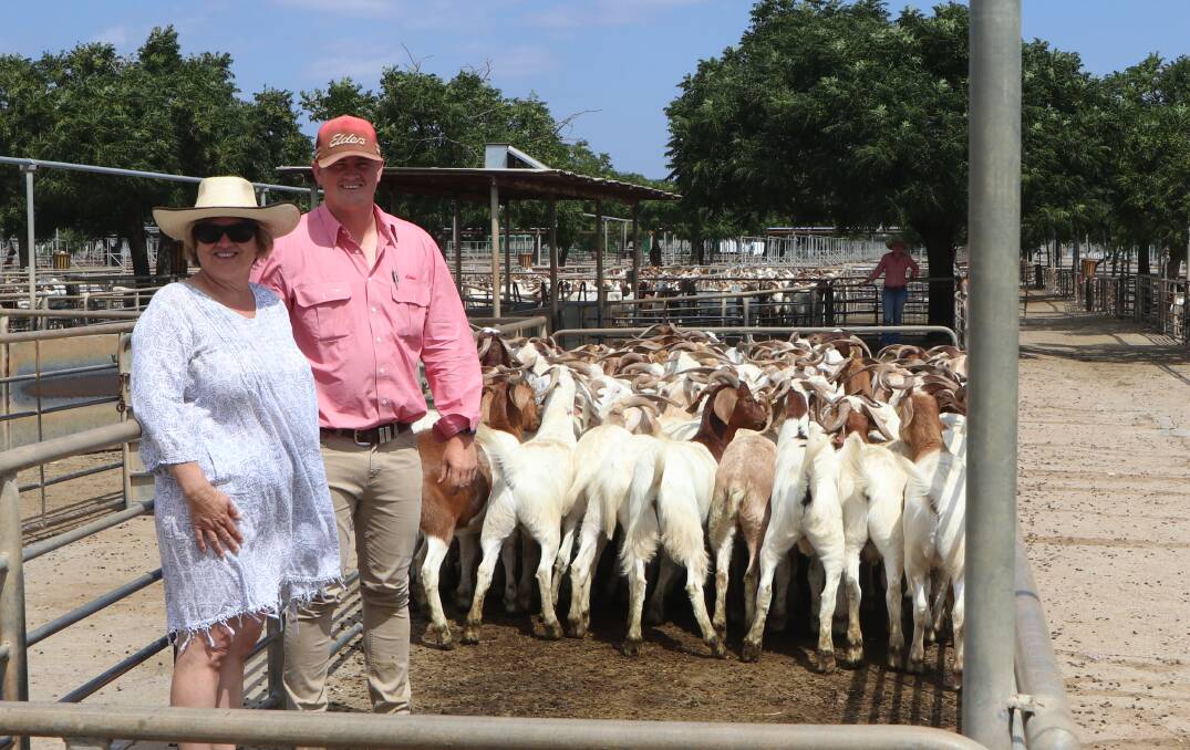 Buyer Jo Stewart, The Gourmet Goat Lady, Collie, and Ben Marlin, Elders Dubbo, with 80 Boer-cross wethers sold by Davis Owens, Longreach, Qld. Picture by Kate Loudon.