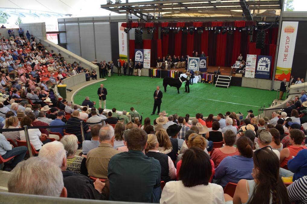 The Young Auctioneers Competition attracts a big crowd during the Sydney Royal Easter Show. Picture by Karen Bailey.