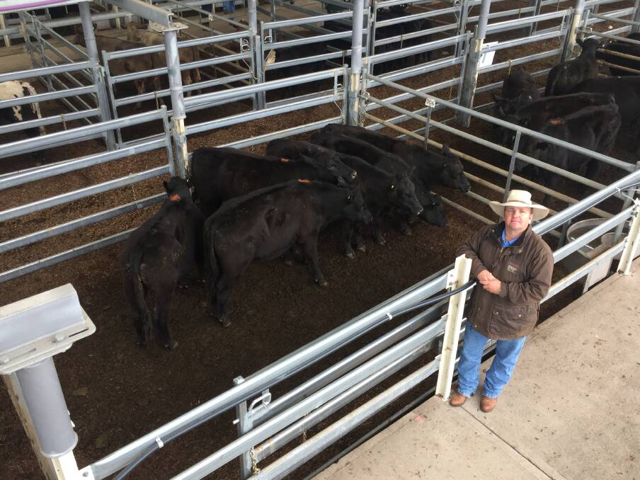 Roger Fuller Livestock agent Jason Bower with Angus steers sold by RJ Clydesdale for $1460/head at the Hunter Regional Livestock Exchange, Singleton, store cattle sale last Friday. Photo: HRLX, Singleton