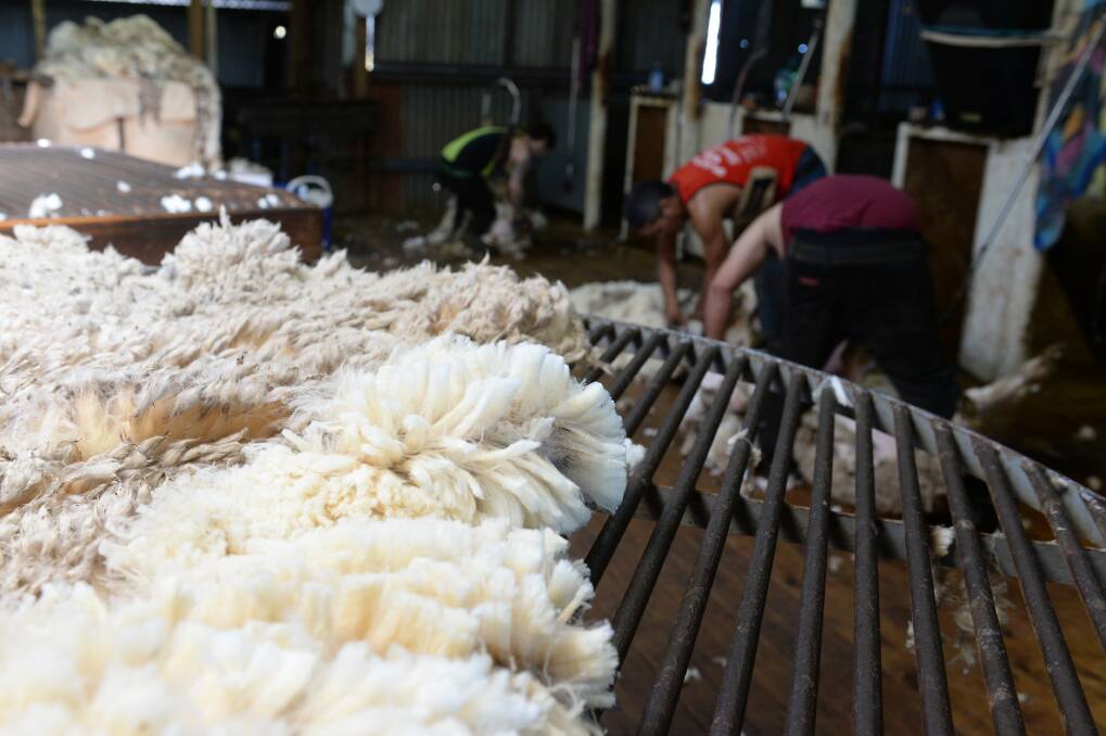 Wool's 'cream' is key for drought-hit flocks