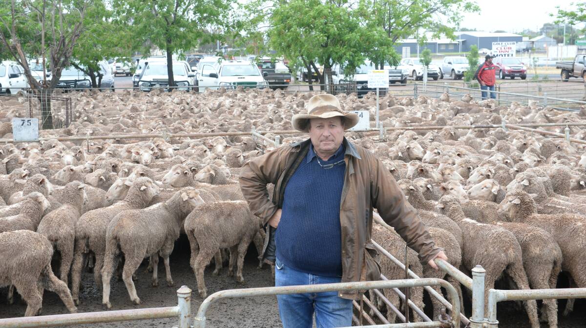 Richard Hall, "Bolagamy", West Wyalong, sold 930 Merino ewes, Jandon Park blood, July shorn for $143 at West Wyalong on Wednesday. Photo by Rachael Webb.