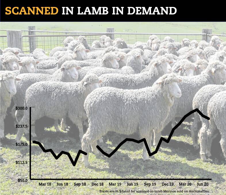 Average price for SIL Merino ewes on AuctionsPlus, January 2018 to July 2020 ($/head).