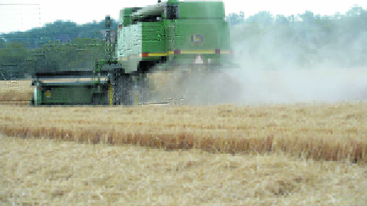 Smart Marketing | USDA reports hit wheat prices, again