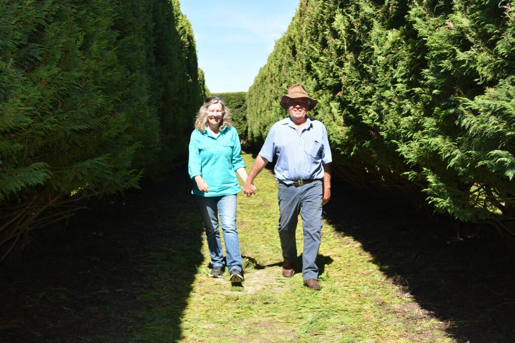 Jane and Mark Holman taking a stroll through their hedged maze which will be the location for Orange Food Week's Graze in the Maze.