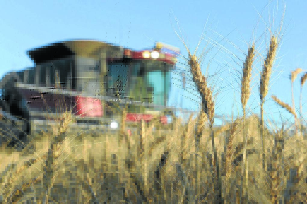 Grain Wrap | France wins Egyptian wheat tender