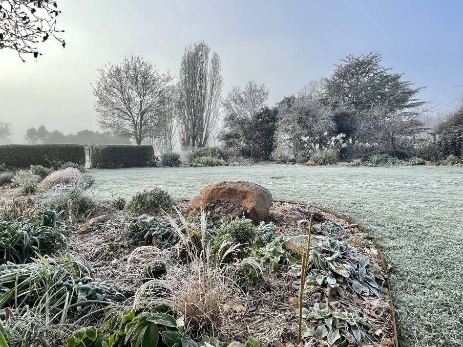 A sunny, frosty day is a good times for gardening.
