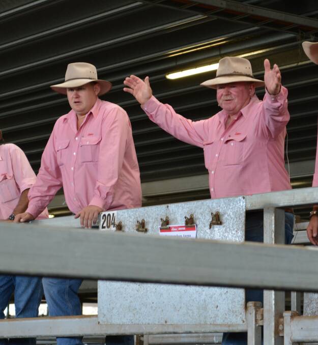 Elders branch manager Andrew Bickford spots bids for auctioneer Bill Davis at the Carcoar cattle sale in 2014. Picture by Karen Bailey.