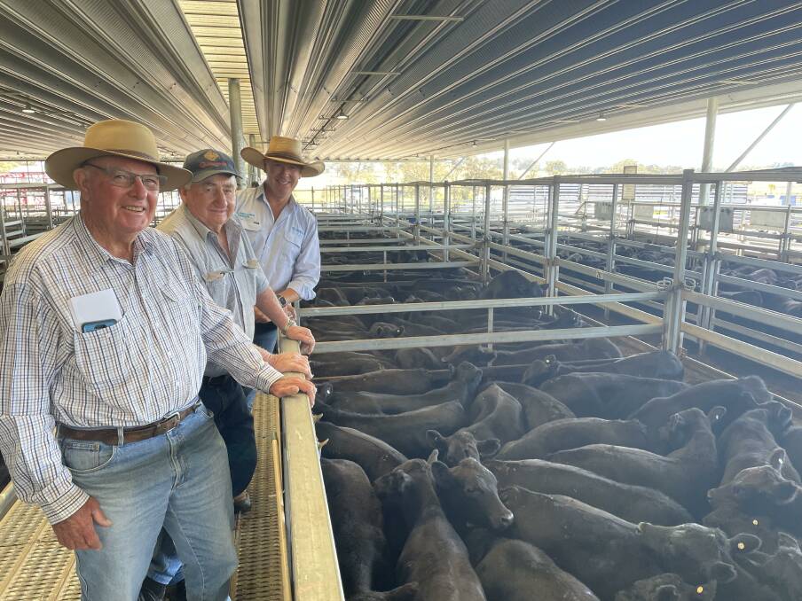 Colin Rice, JH Rice and Co, Parkes, with Alan Thompson, Glastonbury, Parkes, and AWN Langlands Hanlon agent Geoff Rice. Mr Rice's 346kg steers (pictured) sold for $1510 a head, while Mr Thompson 336kg steers hit $1480. Picture by Karen Bailey.