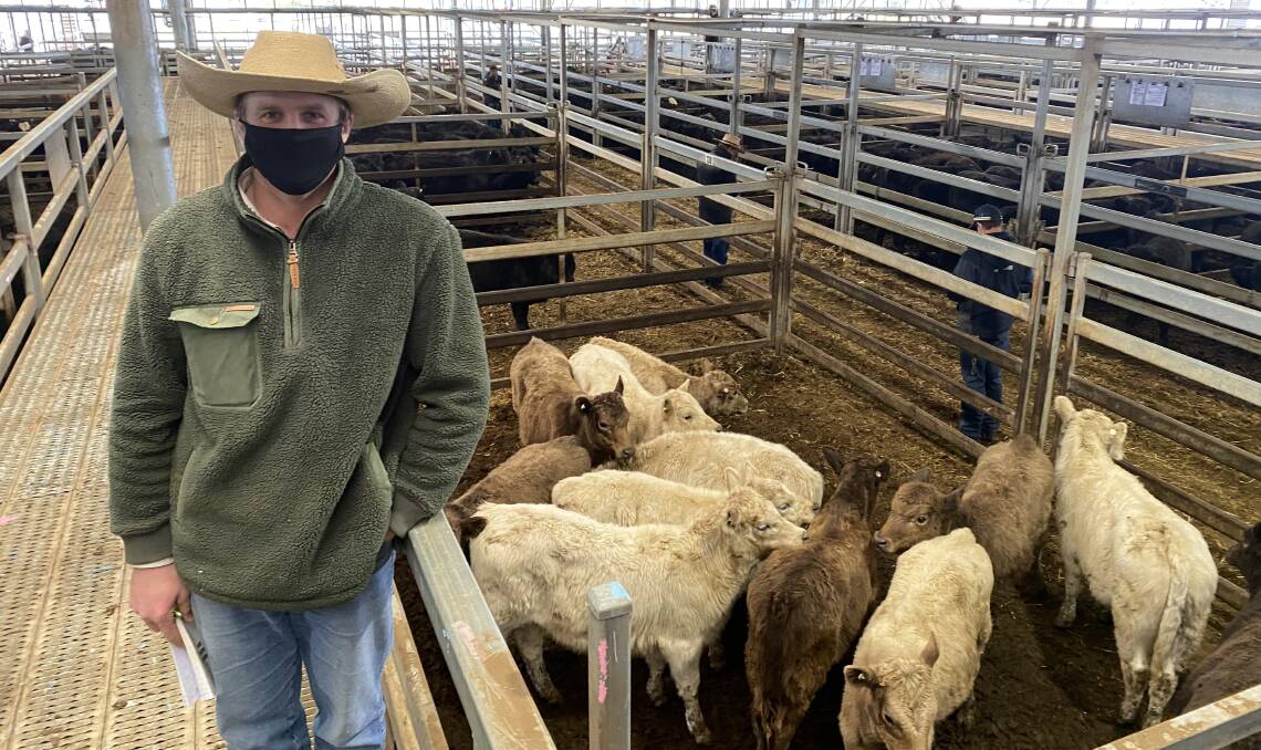PR Master Stephens agent Ben Willis, Bathurst, with 155kg Murray Grey steers sold by Argyle Foods Pastoral for $1230 a head at the Central Tablelands Livestock Exchange, Carcoar, store cattle sale on Friday. Photo: Brock Syphers, CTLX