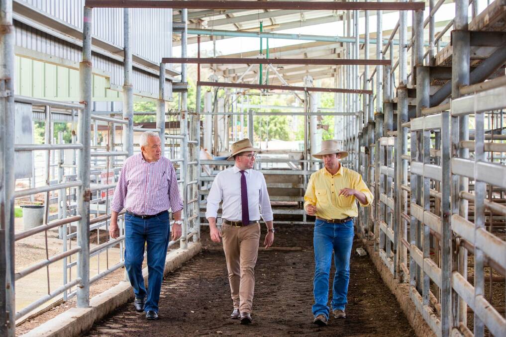 Armidale Regional Council's Viv May and NSW Minister for Agriculture Adam Marshall discuss the funding upgrade at Armidale saleyards with New England Associated Agents president Sam Sewell.