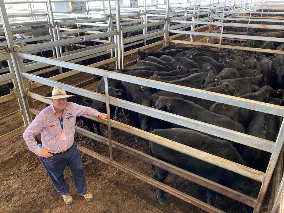 Lindsay Fryer, McCarron Cullinane, Orange, with a pen of Angus steers from Kinross Wolaroi School, Orange, which sold for $1275 a head at the CTLX Carcoar Autumn Weaner sale on Friday.