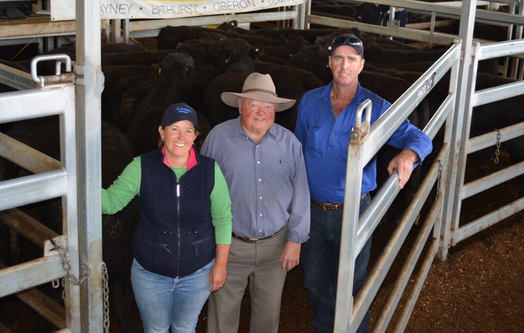 Annie Scott, John Reen and Tony Scott, "Karoo", Meadow Flat, with their 24 Angus steers that sold for $1100 a head. Photo by Virginia Green.