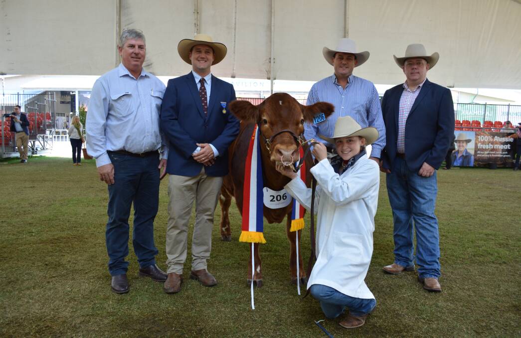Champion trade steer (exhibited by Calrossy Anglican School and bred by Col and Lorna McGilchrist, Wallabadah) with Woolworths buyer Jock Dalzell; the judge Ben Hiscox, Moree; and Woolworths buyers Matt Spry and Tom Wilding. The steer is held by Claire Seis, Tamworth.