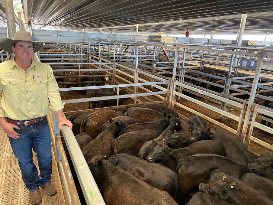 Ray White Emms Mooney agent Harry Larnach with 23 Angus heifers (417kg) of Millah Murrah and Karoo blood that sold for $1755 a head (412c/kg) at CTLX Carcoar store cattle sale last Friday. Photo: CTLX