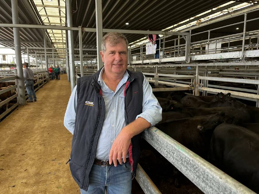 Jeff Garland, GDL Toowoomba, Qld, bought 180 steers and heifers on the first day of the weaner sales, and was looking to buy more. Photo: Bryce Eishold